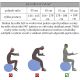 Gymnastický míč MOVIT s pumpou - 65 cm - červená