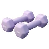 Gorilla Sports Hexagonální neoprenové činky 2x1 kg, fialové