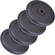 ScSPORTS Litinové kotouče 25 kg, 30/31 mm, sada 4 ks