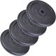 ScSPORTS Litinové kotouče 20 kg, 30/31 mm, sada 4 ks